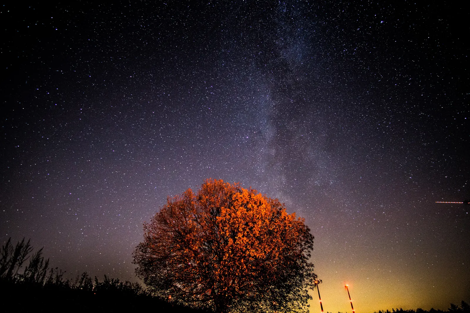 Einzelner Baum unter der Milchstraße, am Horizont Lichtglocken
